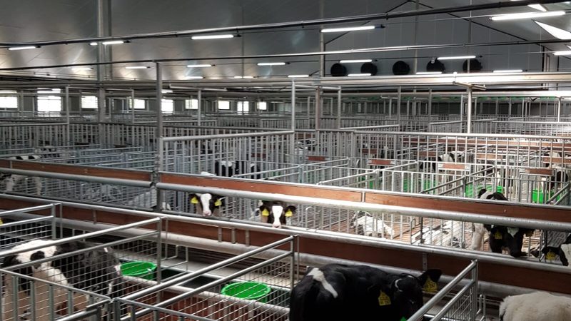 网店装修加盟代理：如何避免陷入误区**